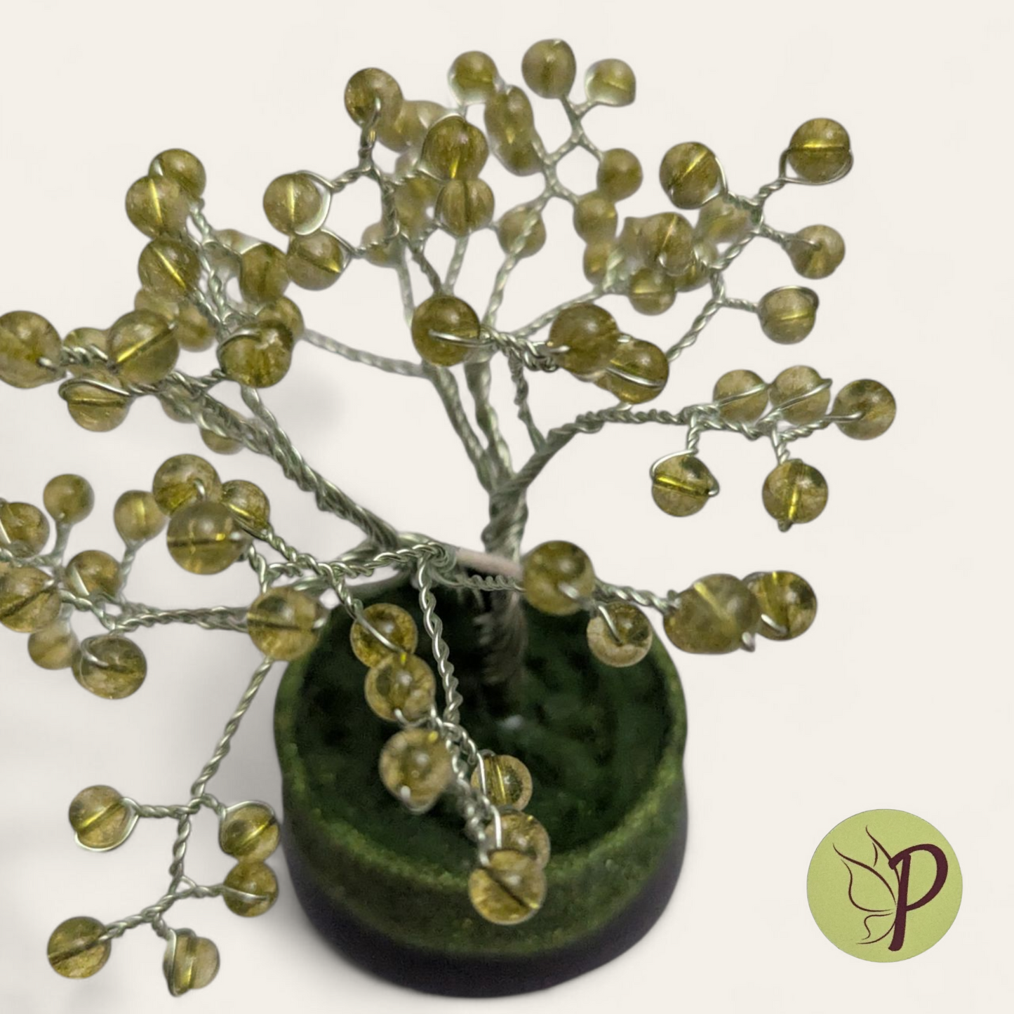 #143 - Ivy