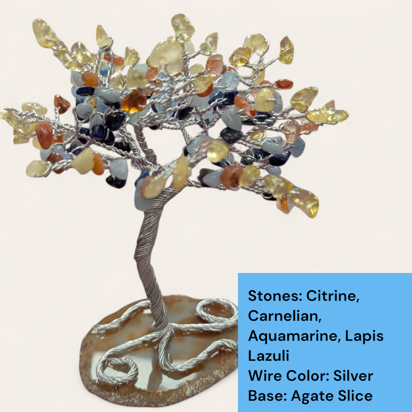 DIY Dyed Shells Tree Kit - Premium Stones