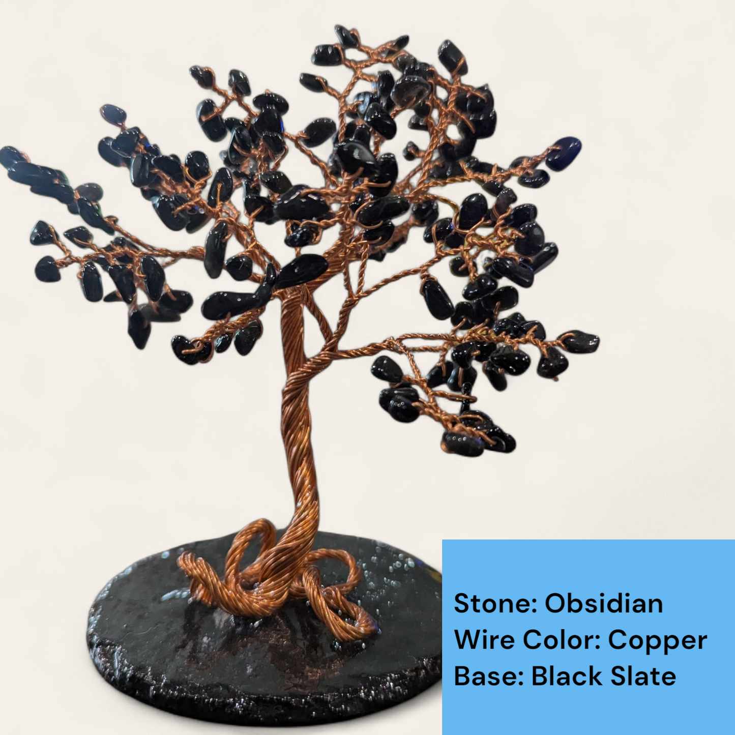DIY Dyed Shells Tree Kit - Premium Stones